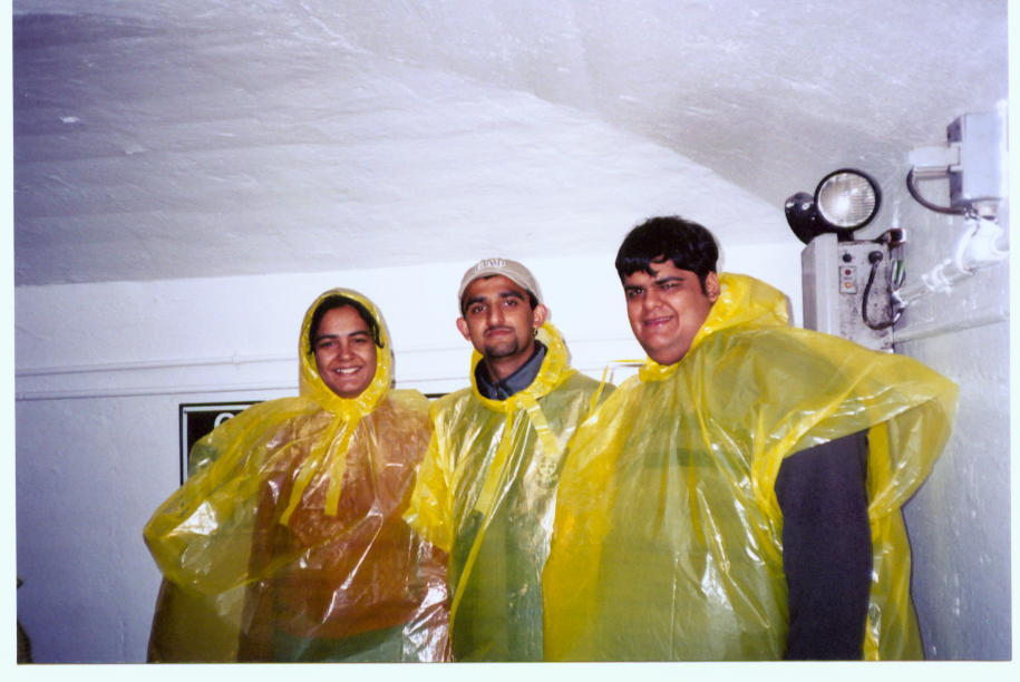 shedinfield.jpg